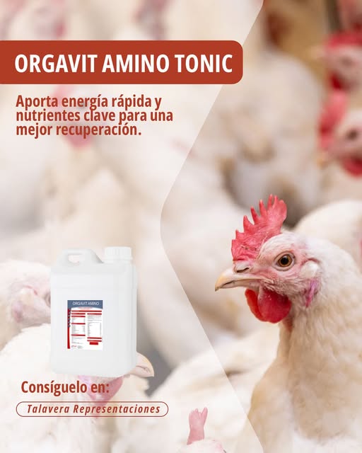 img_organovit_amino_tonic_aves