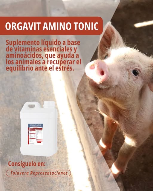 img_organovit_amino_tonic_cerdos