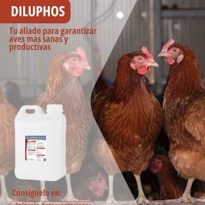 DILUPHOS